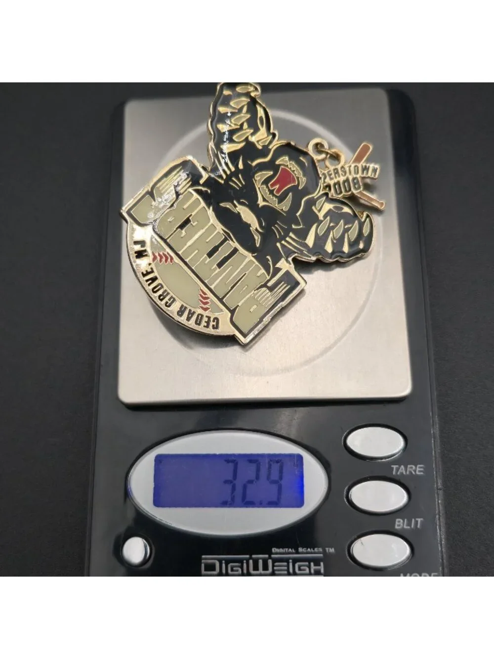 Cedar Grove Panthers 2008 Cooperstown Baseball Pin B1454